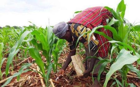 Femme agricultrice Bénin formation agricole 2026